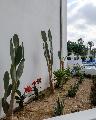 Pandream Hotel Apartments