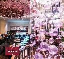 Hotel Eclat