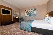 Holiday Inn Nice