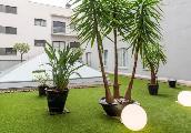 Hotel Ilunion Bel Art