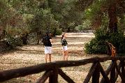 Villaggio Camping Spiaggia Lunga