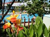 Anatoli Apartments