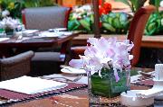 Grand Central Hotel Shanghai