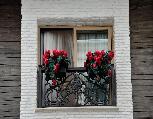 Aybar Hotel & SPA