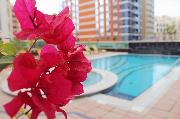 Dunes Hotel Apartments