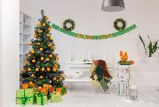 Orange Hotel