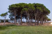 La Costa View