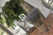 Ala Otel Alacati (Adults only)
