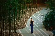 Hyatt Regency Beijing Wangjing