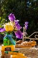 B&B the Old Farm Asfodeli (Adults only)