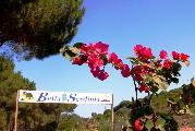 Happy Camp in Camping Bella Sardinia