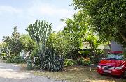 Camping Degli Ulivi