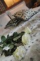 Petit Coeur Chambres D’Hotes