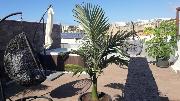 Luxury Bkm in Playa Del Duque